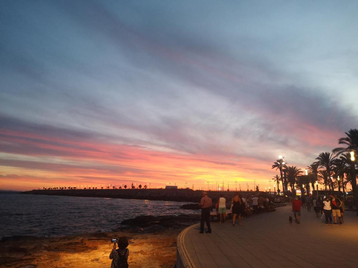 Monteagudo - Estudio Cerca De Playa Del Acequion Lejlighed Torrevieja Eksteriør billede